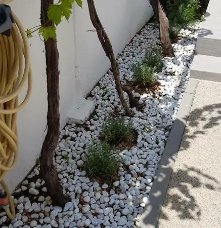 Appartamento Sonja *